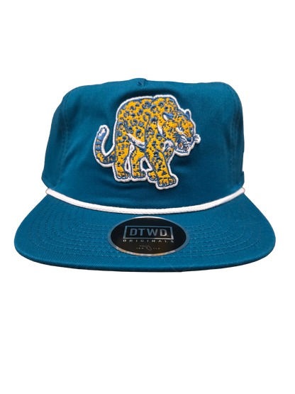 Cat Swagger Paddle + DTWD Hat #1